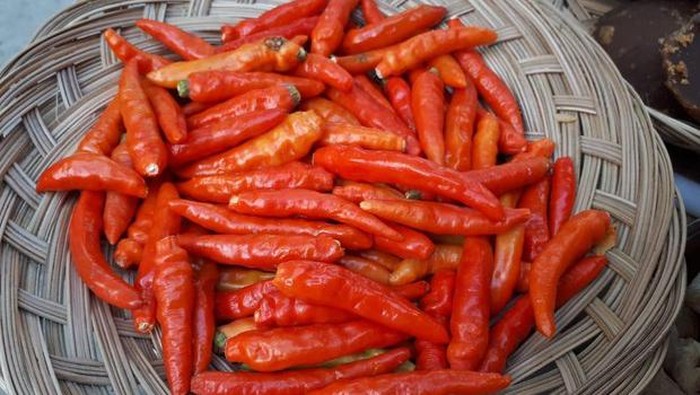 Cara bikin stok sambal terasi