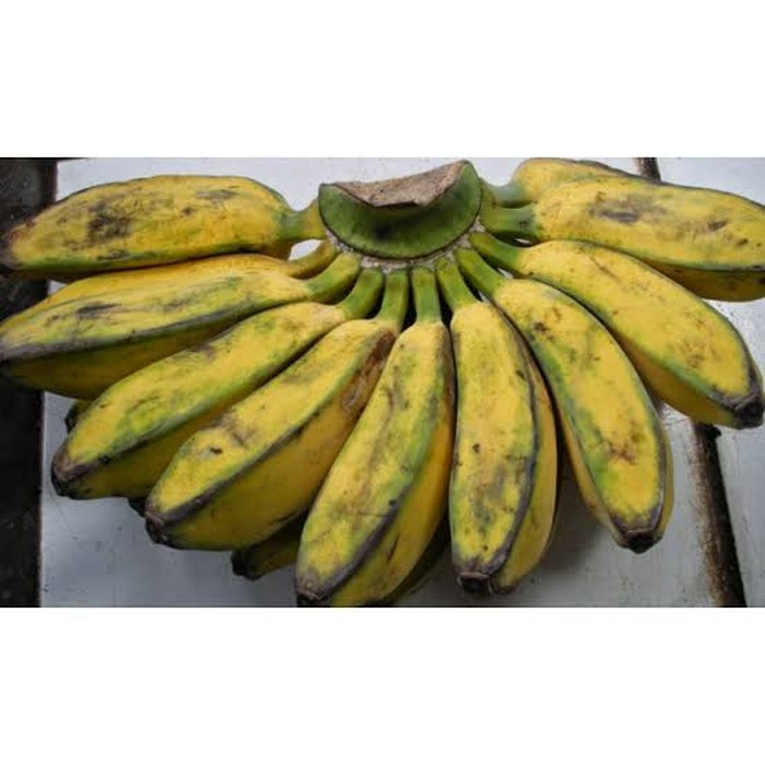 kolak