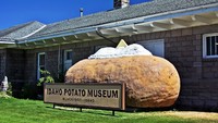 Terakhir ada Idaho Potato Museum atau Museum Kentang Goreng Idaho di AS. Seperti Frietmuseum, museum yang satu ini juga membahas tentangan panganan kentang. Bedanya, ini di Amerika (visitidaho.org)