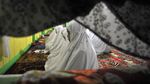 Tarekat Naqsabandiah Sudah Laksanakan Sholat Tarawih Jamaah
