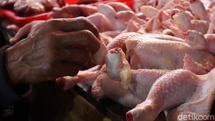 Harga Daging Ayam dan Sapi Masih Stabil, Nggak Bakal Naik Jelang Nataru? Harga Daging Ayam dan Sapi Masih Stabil, Nggak Bakal Naik Jelang Nataru?