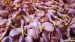 Penjualan Daging Ayam dan Sapi Masih Eksis