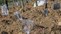 Dikarenakan protap penanganan COVID-19, jenazah yang dimakamkan tanpa nisan. Pemasangan nisan dengen menggunakan kardus dan plastik ini dilakukan oleh pihak keluarga. 