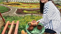  Berpose di tengah kebun bunga yang cantik, pesona Marcella Simon ini tak kalah cantik dengan bunga-bunga di sana. Tak lupa Marcella ditemani dengan minuman dalam teko. Foto: Istimewa