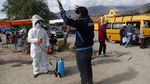 Pandemi Corona, Llama Berkeliaran di Jalanan Bolivia