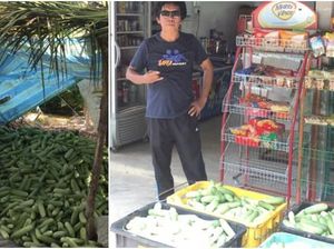 Petani Ini Donasikan 1 Ton Timun Hasil Panen yang Tak Laku saat COVID-19