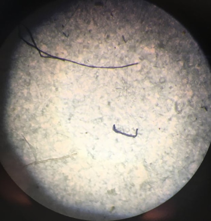 Sampah mikroplastik di Antartikaa