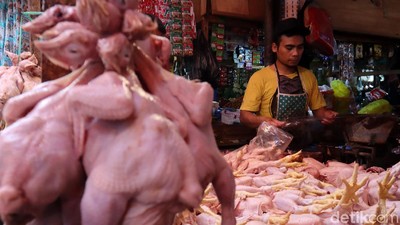 Penjualan Daging Ayam dan Sapi Masih Eksis