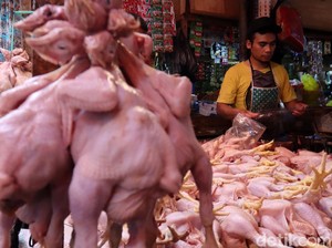 Daging Ayam Picu Inflasi Pekan Kedua November