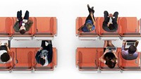 Glassafe terbuat dari material transparan yang estetik dan juga berfungsi sempurna untuk meminimalisasi kontak dan interaksi dengan penumpang lain. (dok. Avio Interiors)