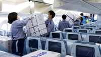 Petugas menurunkan boks-boks berisi peralatan medis dari dalam pesawat ANA di Bandara Haneda, Tokyo. All Nippon Airways via AP.