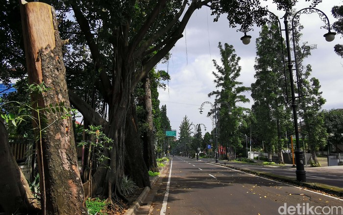 Begini Heningnya Kawasan Dago Bandung Saat PSBB Kawasan Dago Bandung terlihat sangat sepi saat penerapan PSBB Bandung Raya. Begini kondisinya.