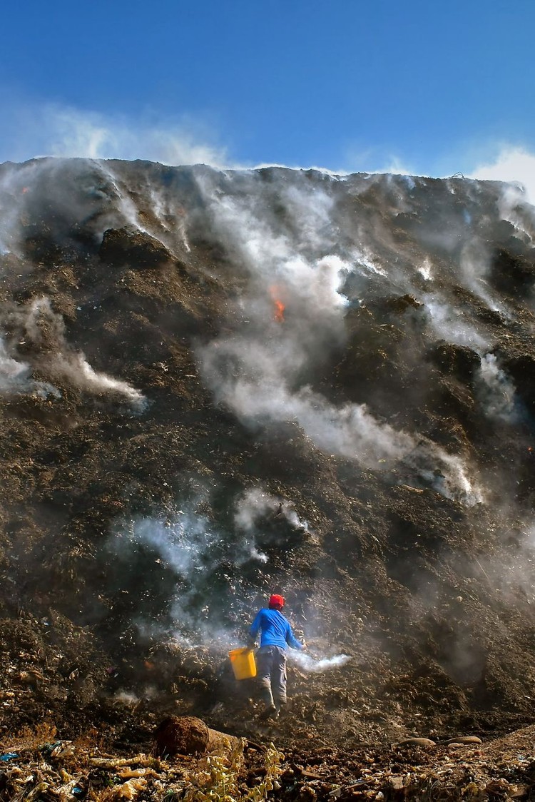 Memperingati Hari Bumi, Kontes foto Agora #ClimateChange2020 bertema tentang darurat iklim yang menyebabkan gangguan pada fauna, flora, ekosistem, dan manusia.