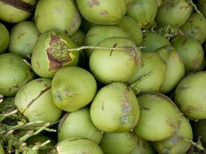 7 Manfaat Air Kelapa Muda Bagi Kesehatan Tubuh