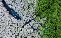 Memperingati Hari Bumi, Kontes foto Agora #ClimateChange2020 bertema tentang darurat iklim yang menyebabkan gangguan pada fauna, flora, ekosistem, dan manusia.