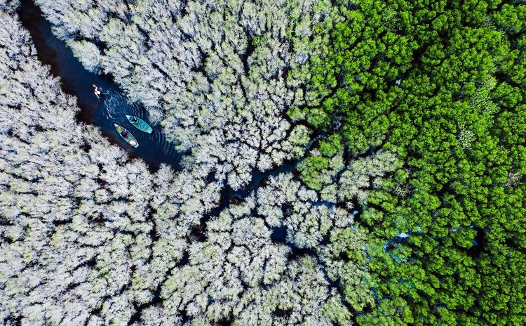 Memperingati Hari Bumi, Kontes foto Agora #ClimateChange2020 bertema tentang darurat iklim yang menyebabkan gangguan pada fauna, flora, ekosistem, dan manusia.
