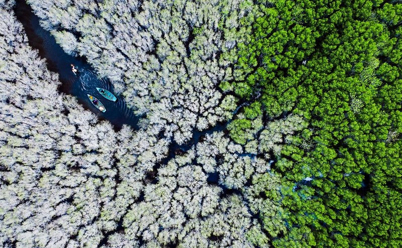 Memperingati Hari Bumi, Kontes foto Agora #ClimateChange2020 bertema tentang darurat iklim yang menyebabkan gangguan pada fauna, flora, ekosistem, dan manusia.