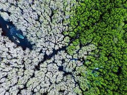 Ragam Potret Darurat Iklim di Kontes Foto Agora #ClimateChange2020