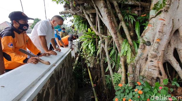 Pencarian Ular Piton di Sukabumi