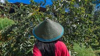 Ayo bang, kita berkebun! (dok Bored Panda)
