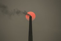 Memperingati Hari Bumi, Kontes foto Agora #ClimateChange2020 bertema tentang darurat iklim yang menyebabkan gangguan pada fauna, flora, ekosistem, dan manusia.