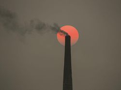 Ragam Potret Darurat Iklim di Kontes Foto Agora #ClimateChange2020