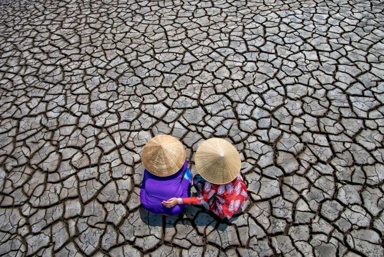 Memperingati Hari Bumi, Kontes foto Agora #ClimateChange2020 bertema tentang darurat iklim yang menyebabkan gangguan pada fauna, flora, ekosistem, dan manusia.