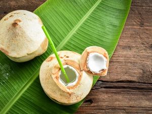 RUU Minuman Beralkohol Ancam 5 Miras Tradisional Indonesia