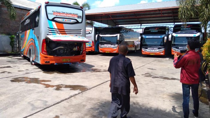 Perusahaan Otobus di Jember