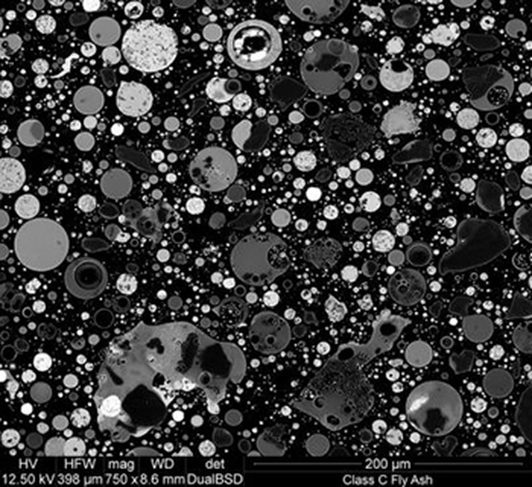 Kapur sampai Jus Jeruk, Penampakan yang Super Keren di Bawah Mikroskop