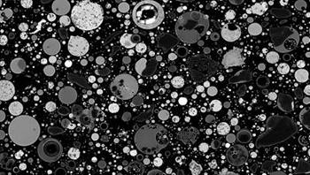 Ini adalah butiran debu. Foto: Wabeggs