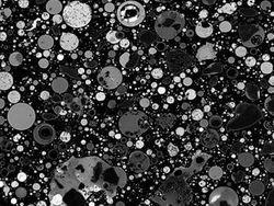 Penampakan Super Keren Kapur sampai Jus Jeruk di Bawah Mikroskop