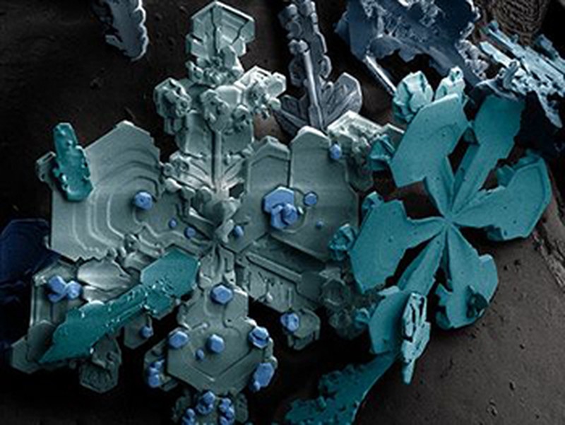 Kapur sampai Jus Jeruk, Penampakan yang Super Keren di Bawah Mikroskop