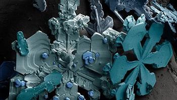 Bentuk asli kepingan salju yang diamati di bawah mikroskop. Mirip seperti yang sering ada di kartun-kartun, kan? Foto: Science Musings