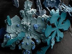 Penampakan Super Keren Kapur sampai Jus Jeruk di Bawah Mikroskop