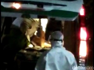Gugus Tugas Kabupaten Bogor: 2 Anak di Cileungsi Kena Corona Tertular dari Ibu