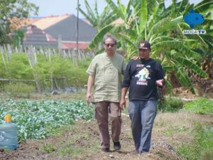 Mantan Buruh Serabutan Berbagi Tips Jadi Petani Sayur yang Sukses