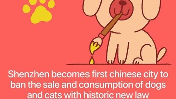 Shenzhen menjadi kota pertama di China yang mulai melarang penjualan dan konsumsi daging anjing dan kucing. Para aktivis dan pencinta hewan tentu senang mendengar kabar ini. Foto: via Bored Panda