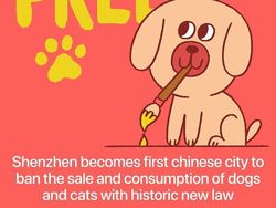 Tak Melulu Sedih, Banyak Kabar Positif di Tengah Pandemi