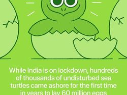 Tak Melulu Sedih, Banyak Kabar Positif di Tengah Pandemi