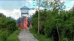 Isi Kampung Narkoba ala Kolombia di Kalteng Sebelum Dibakar Polisi