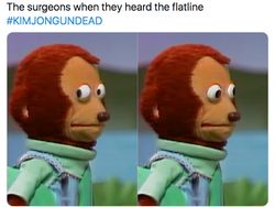 Kim Jong Un Meninggal Masih Isu, Tapi Memenya Ramai