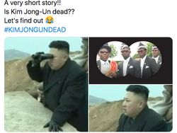 Kim Jong Un Meninggal Masih Isu, Tapi Memenya Ramai