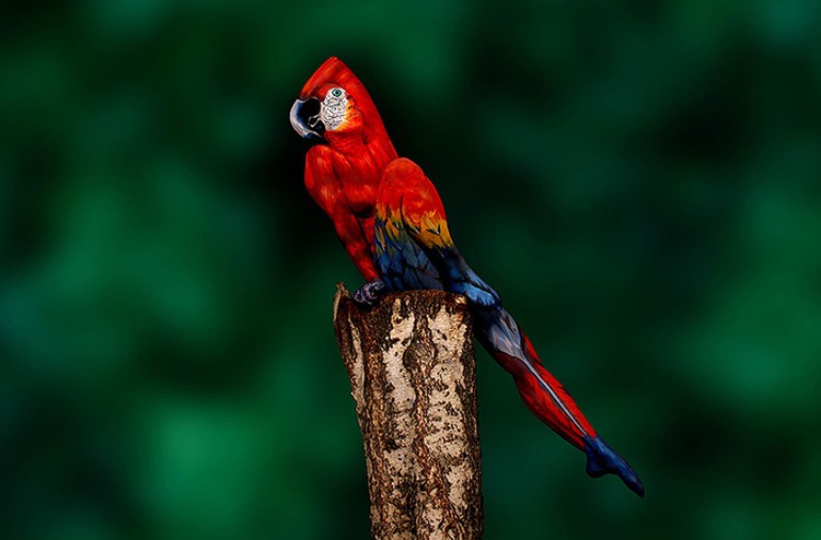 bodypainting keren