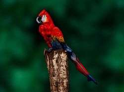 Keren! Kumpulan Karya Body Painting yang Menipu Mata