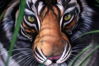 bodypainting keren