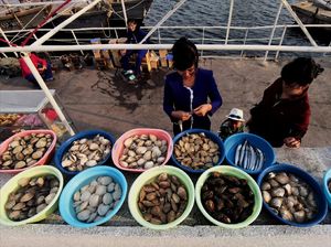 Heboh Kereta Kim Jong Un Di Wonsan, Kota Ini Terkenal Punya Seafood Enak