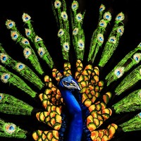 bodypainting keren