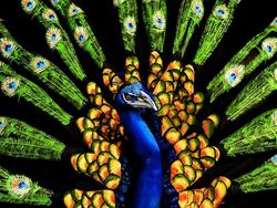 Keren! Kumpulan Karya Body Painting yang Menipu Mata