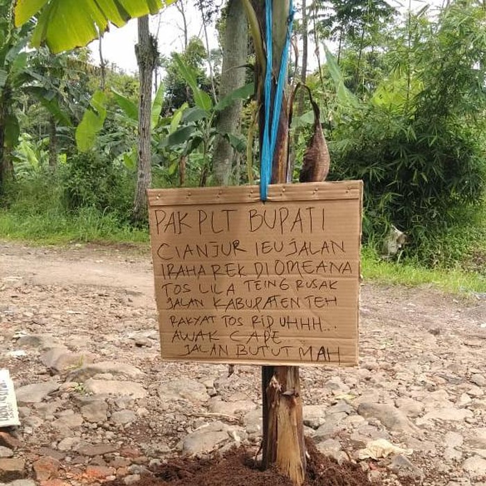 Warga tanami jalan rusak dengan pohon pisang